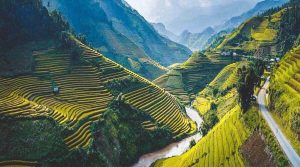 How to Travel Vietnam Like a Local (Not a Tourist)